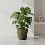 Topf Palermo Marble Grün Ø27cm-↕25cm Everspring