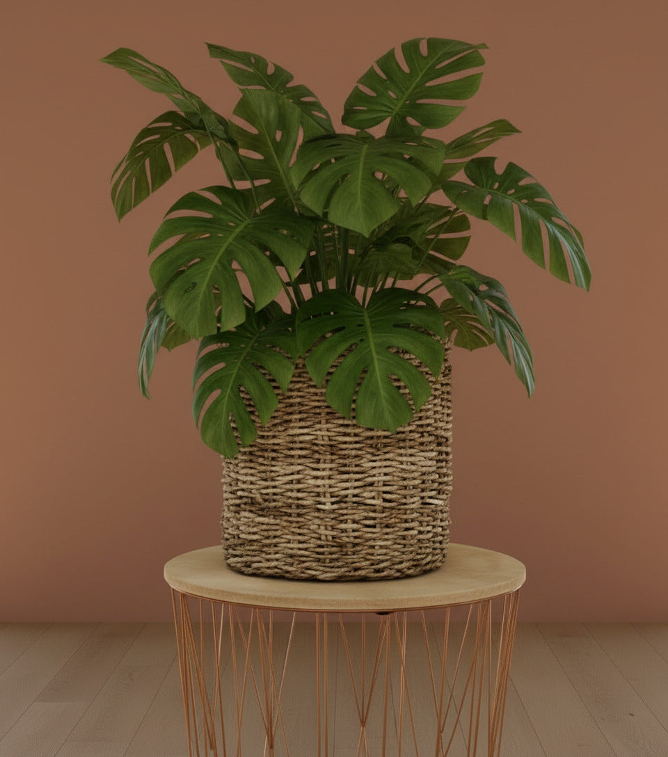 Korb Ido - Ø38cm-↕33cm Everspring