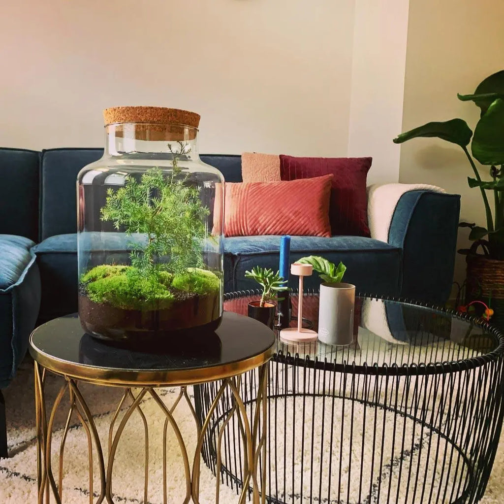 DIY Flaschengarten - Jar Christma - ↕28cm Everspring