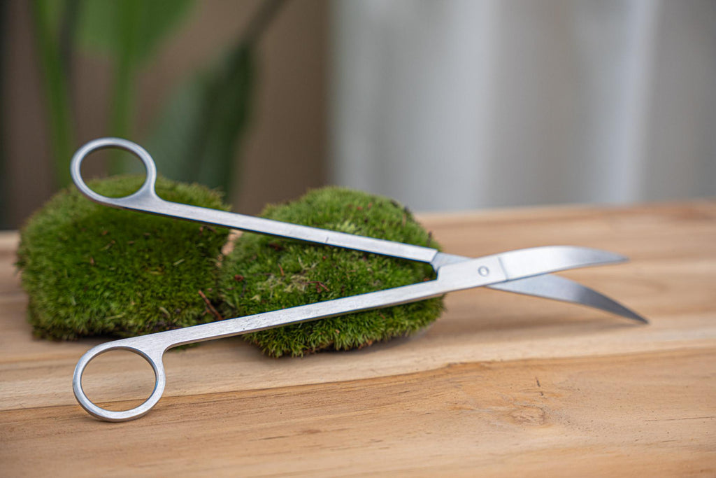 ✂️ Lange Terrarium-Schere – Edelstahl – ↕25cm Everspring