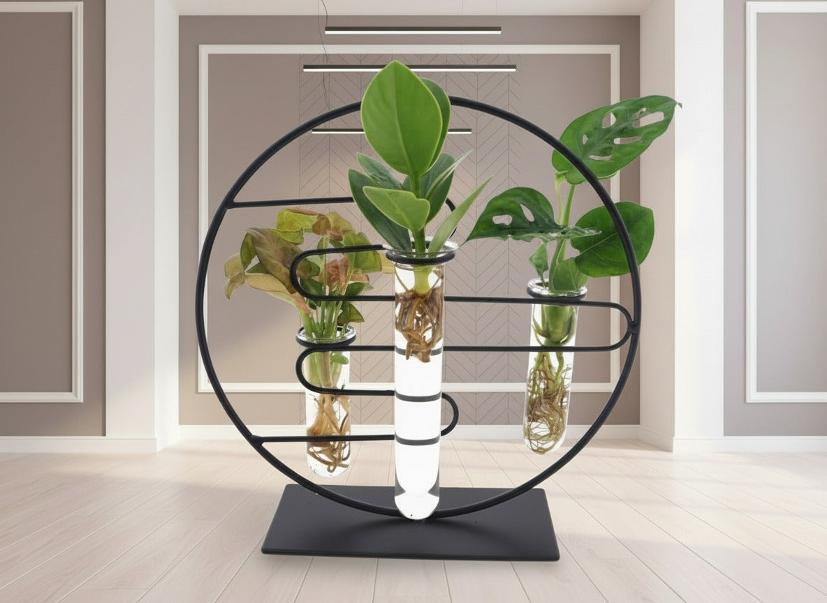 Zimmerpflanzen Intenz Mix im Dubai 2.0 Glas – Ø12cm-↕25cm Everspring