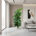 Combi Deal - Monstera Pertusum XL inclusief Elho Jazz Round wit Ø26cm - 150 cm Everspring