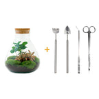Flaschengarten - Sammie Coffea - ↕26cm Everspring