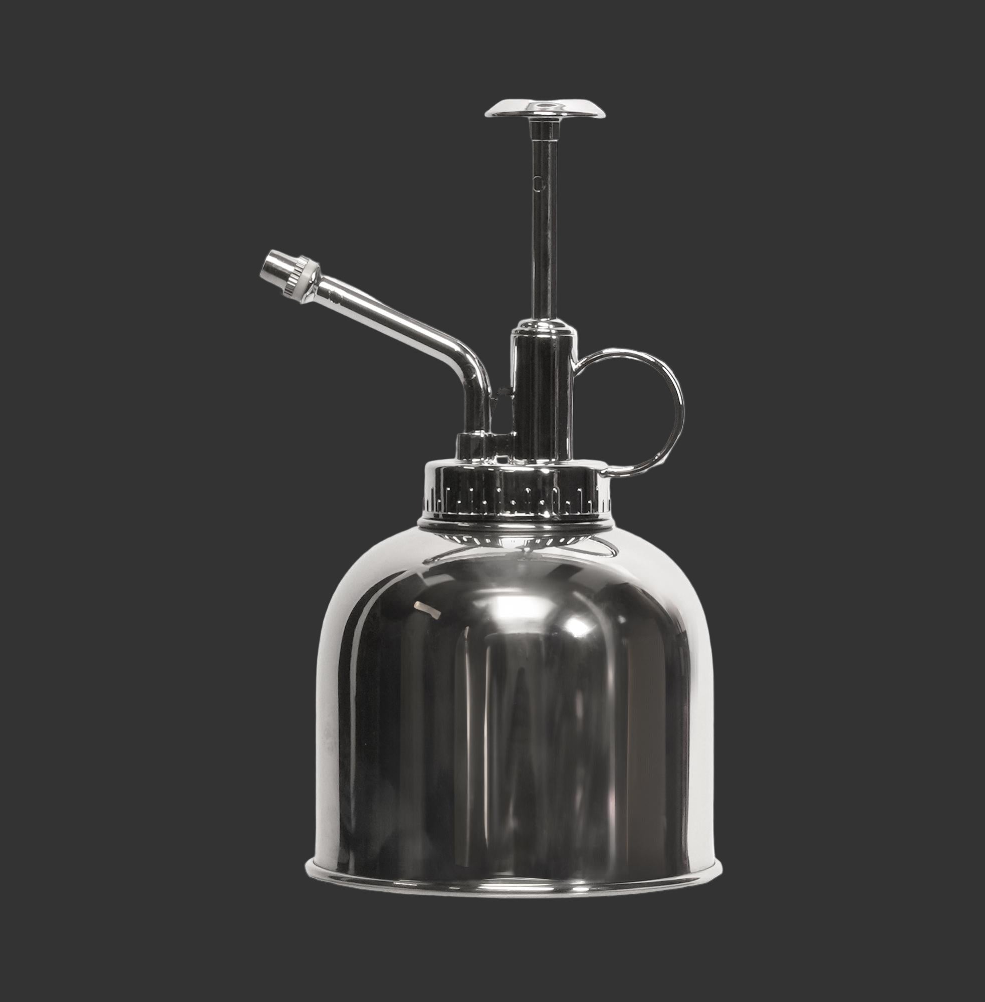 💧 Pflanzensprüher – Silber – Edelstahl (rostfrei) – 300ml Everspring