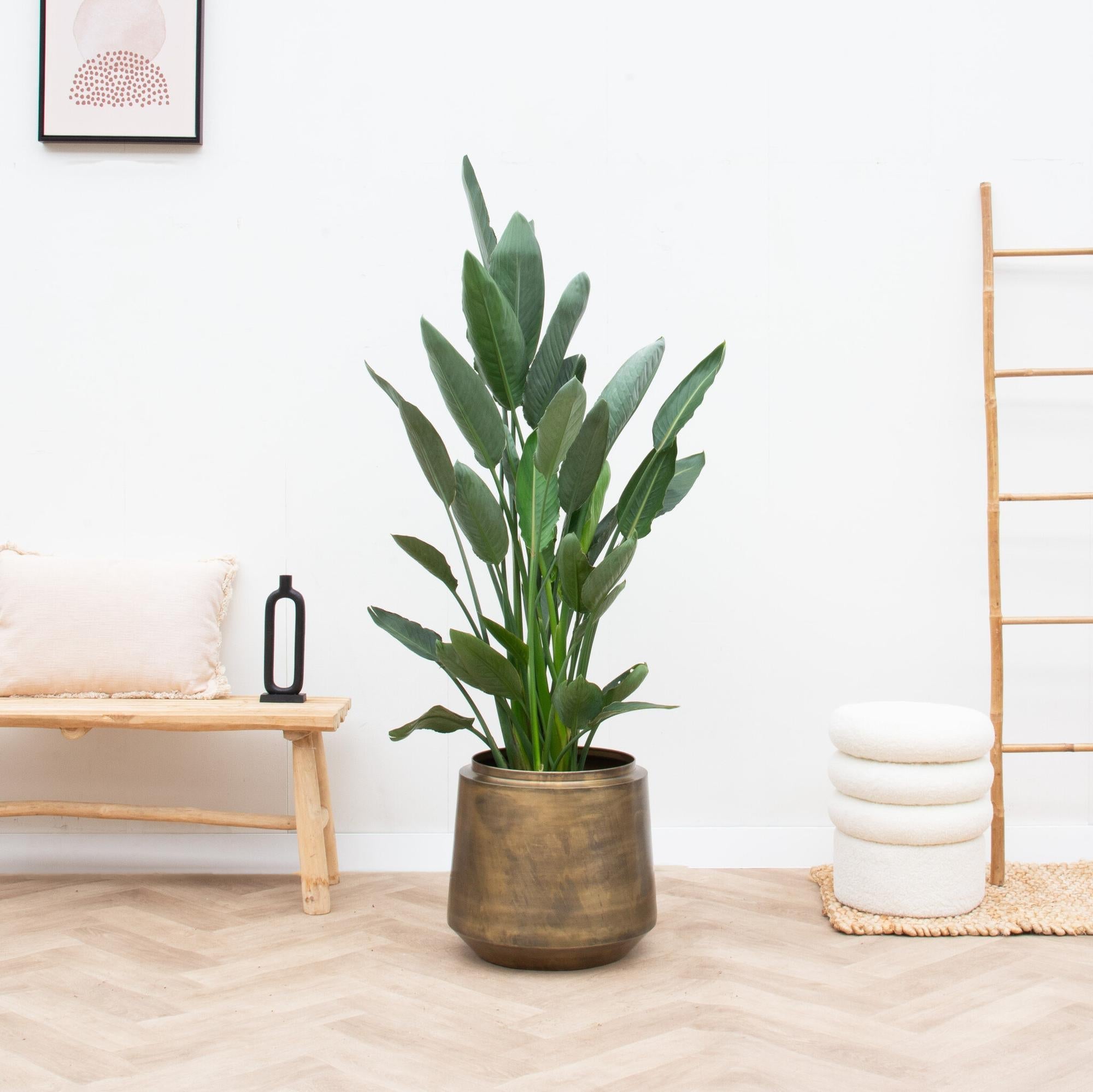 Topf Indigo Vintage Gold - Ø46cm-↕41cm Everspring