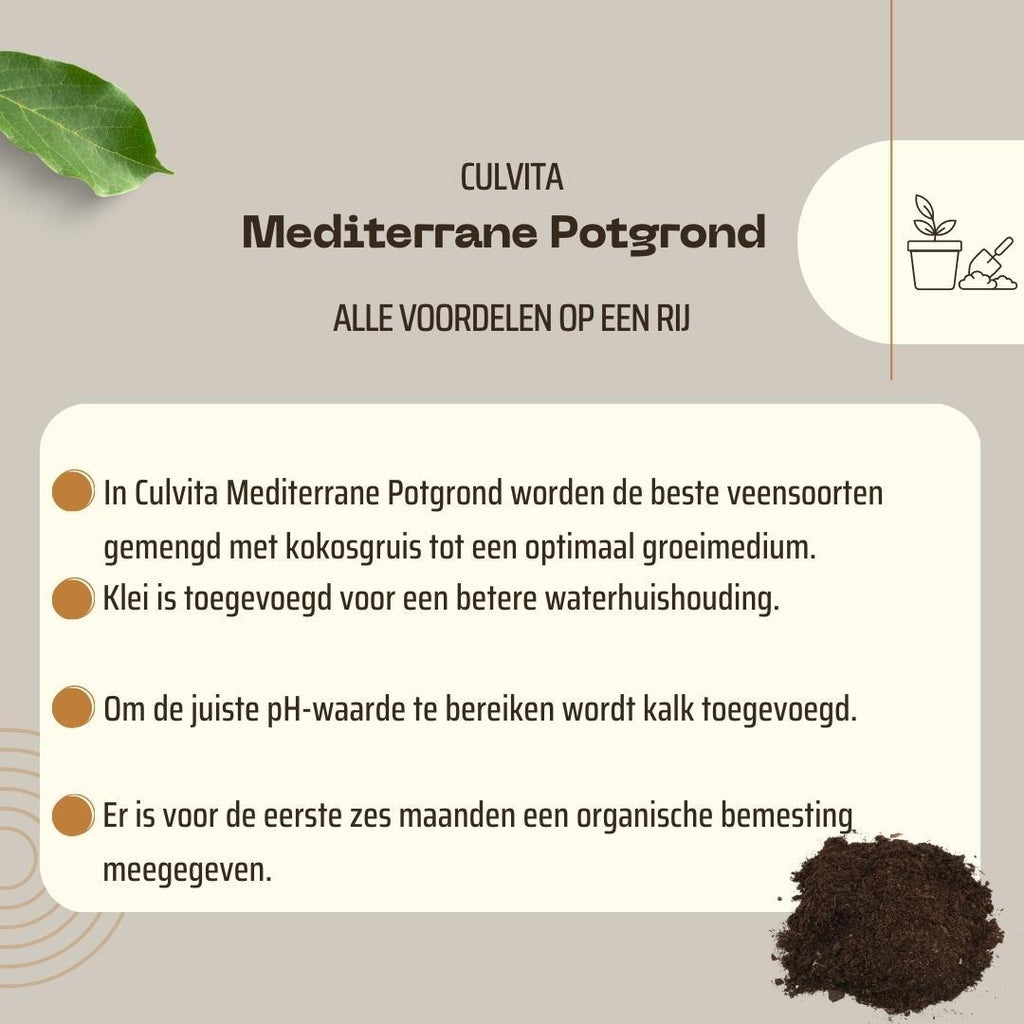 Culvita - Mediterrane Blumenerde 40Liter inklusive RhizoPlus - Blumenerde für mediterrane Pflanzen u.a. geeignet für Olivenbäume, Zitruspflanzen und Palmen Everspring