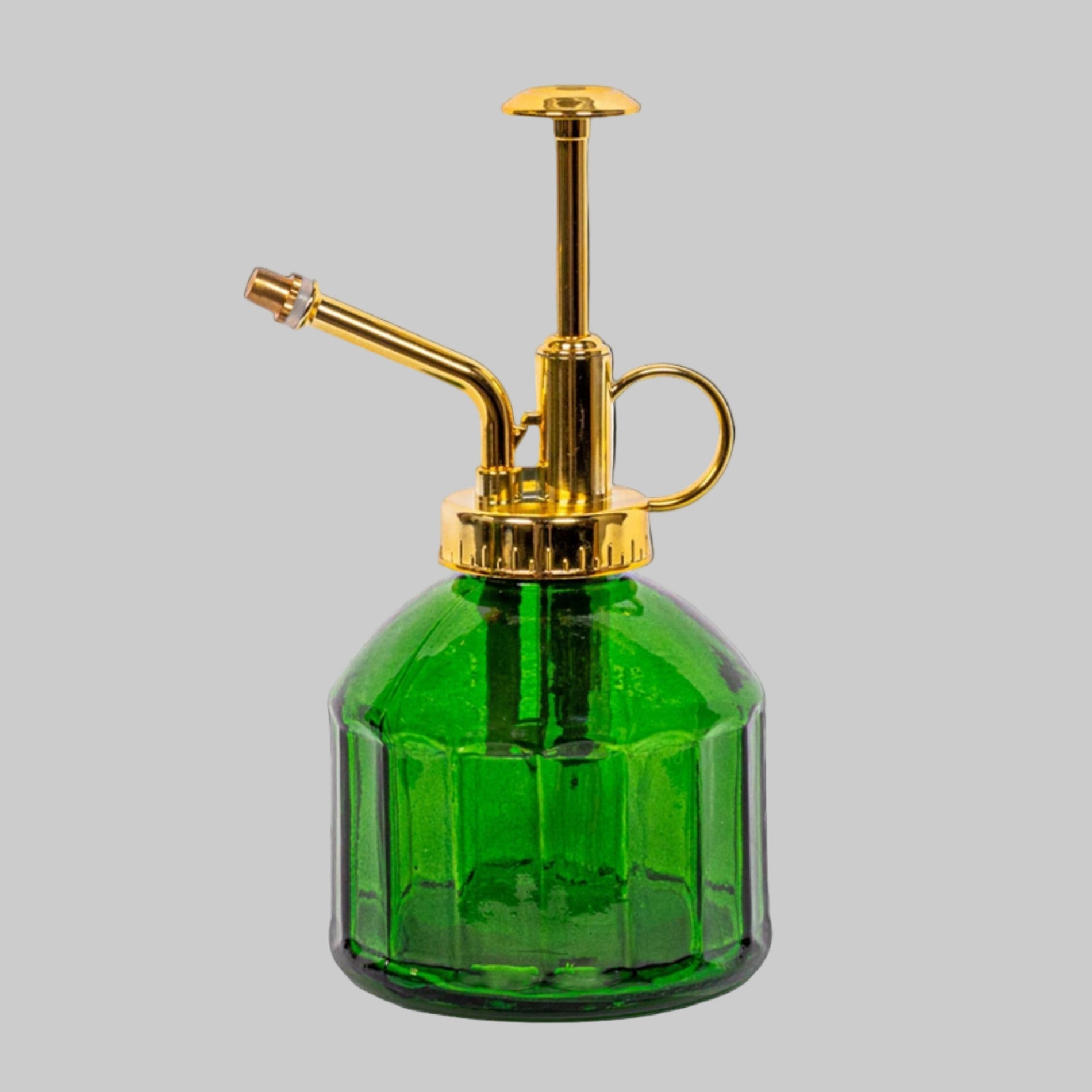 🌿 Pflanzensprüher – Grün – Glas - 0,25Liter Everspring