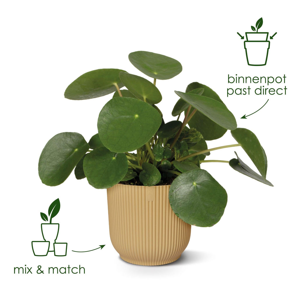 Topf Elho Vibes Fold Round Grün - Ø14cm-↕13cm Everspring