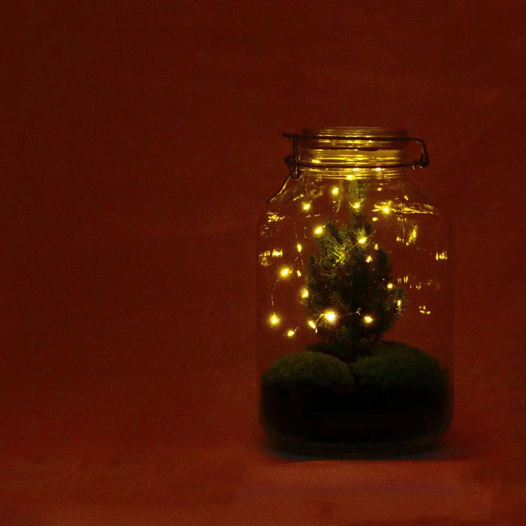 DIY Flaschengarten - Jar Christma - ↕28cm Everspring