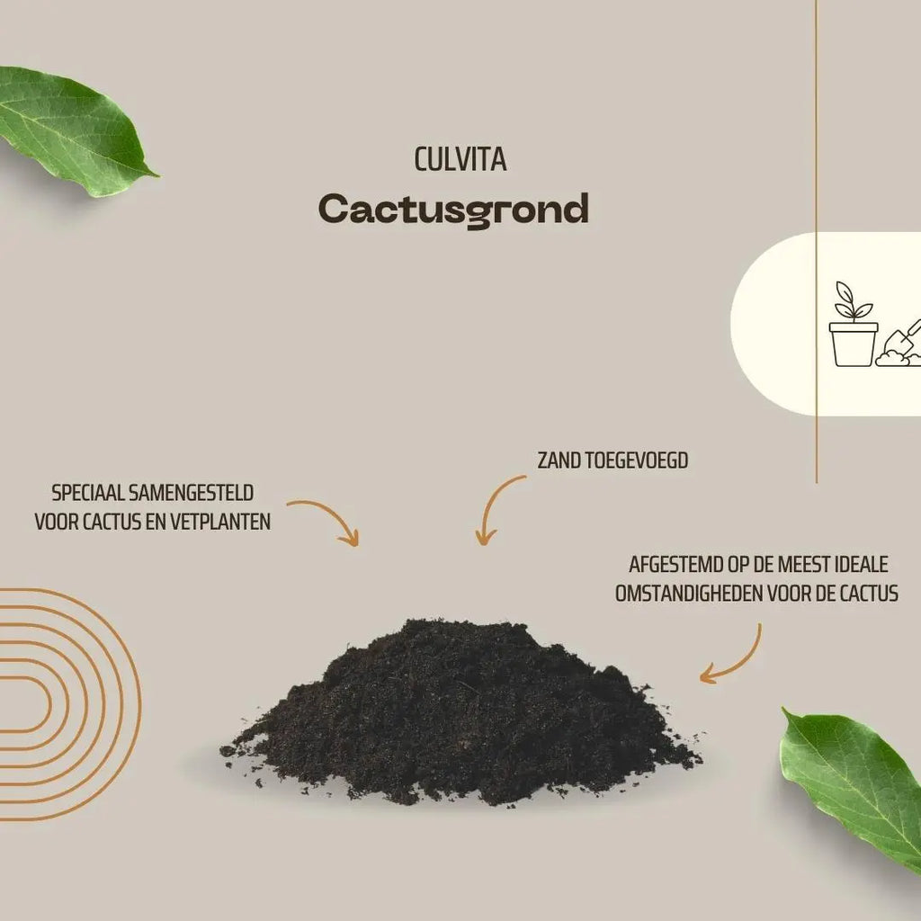 Culvita - Blumenerde für Kakteen und Sukkelenten - 5Liter Everspring
