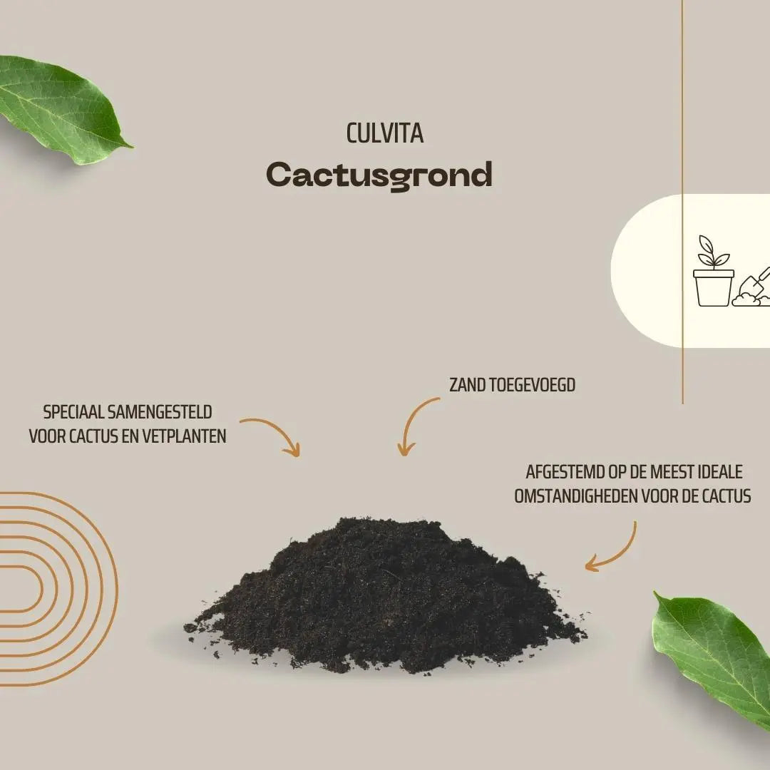 Culvita - Blumenerde für Kakteen und Sukkelenten - 5Liter Everspring
