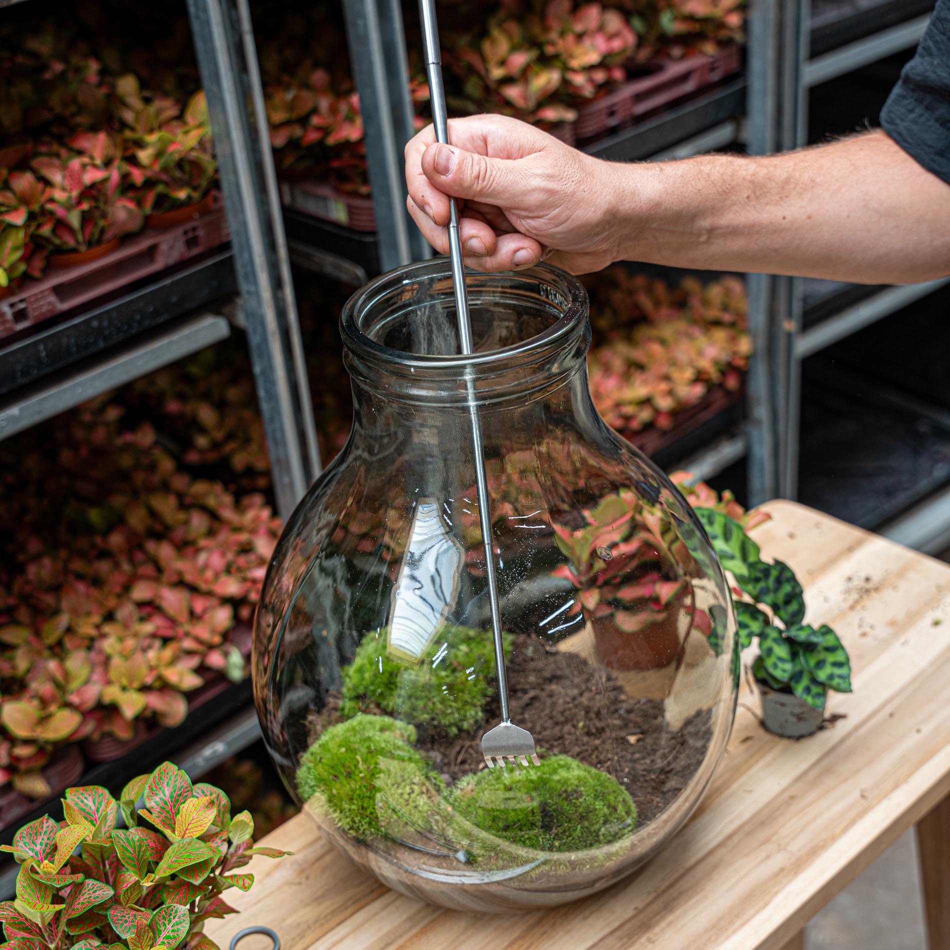 Flaschengarten - Werkzeug – Harke – 16–49cm – Teleskop – Edelstahl - Terrarium Werkzeug Everspring