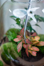 Terrarium-Pinzette – Metall ↔26cm Everspring