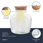 💡 Terrarium-Flasche mit Beleuchtung - Little Joe - Ø20cm-↕22cm Everspring