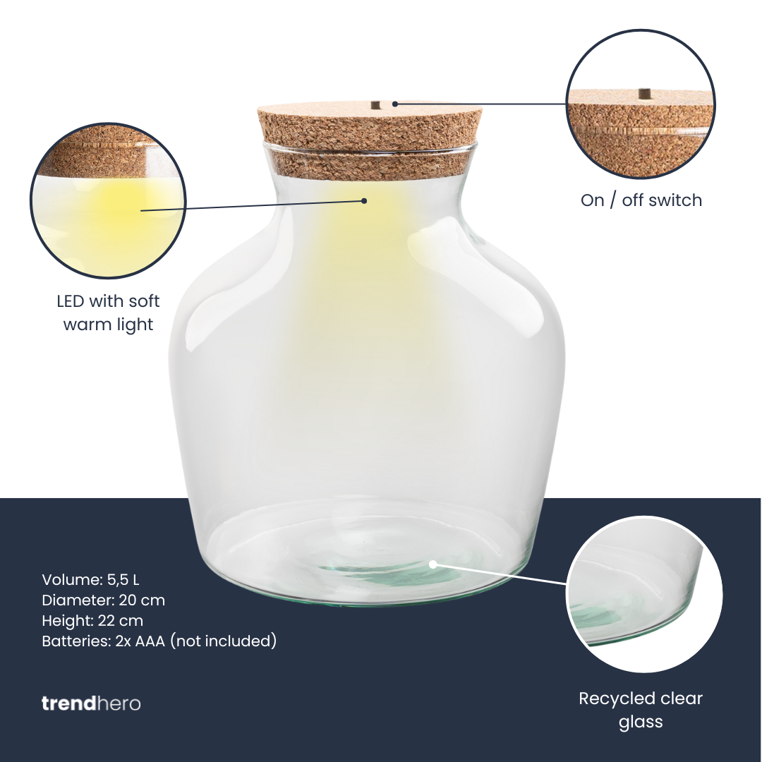 💡 Terrarium-Flasche mit Beleuchtung - Little Joe - Ø20cm-↕22cm Everspring
