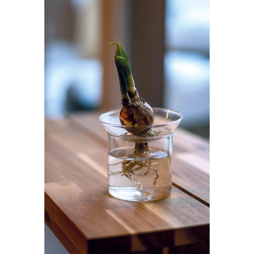 Vermehrungsvase M – Ø9cm-↕11,5cm Everspring