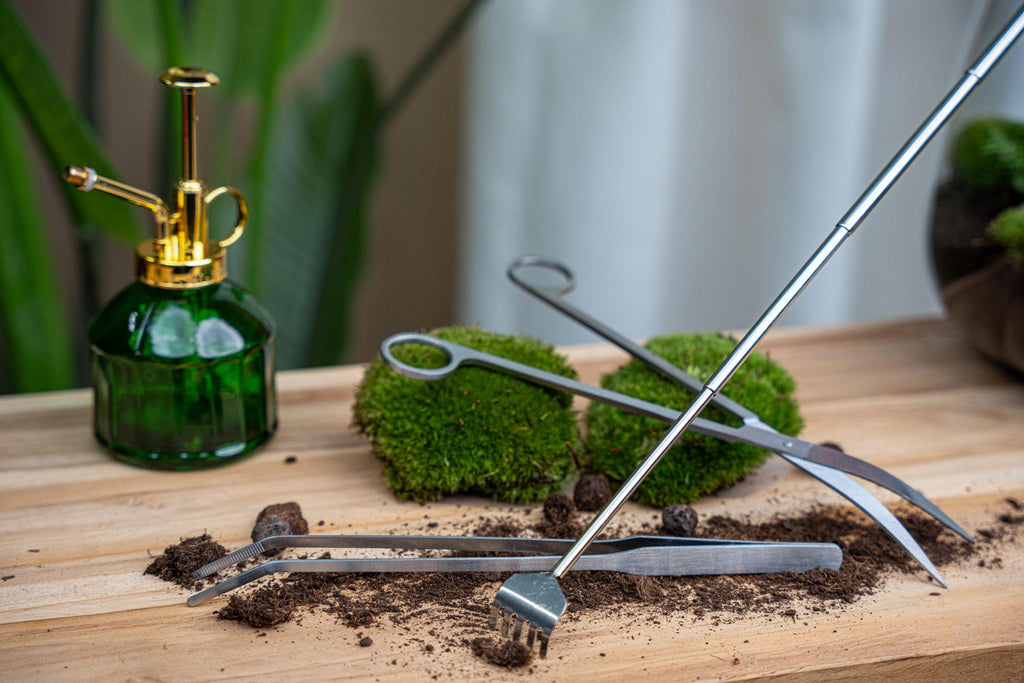 Terrarium-Pinzette – Metall ↔26cm Everspring