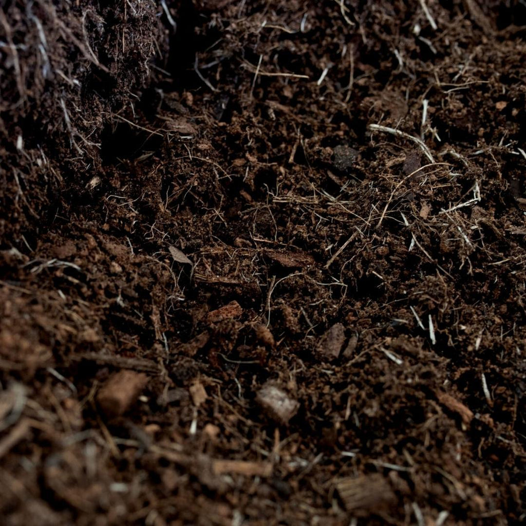 Culvita Universal Blumenerde inkl. 2 Monate Pflanzennahrung - Universal Blumenerde für Pflanzen im Innen - und Außenbereich - 40Liter Everspring