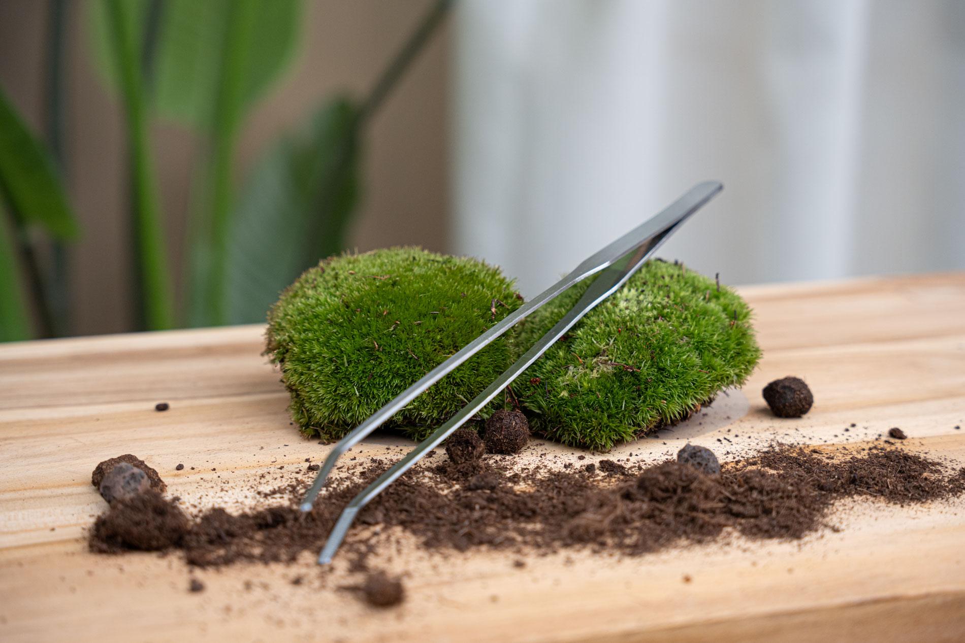 Terrarium-Pinzette – Metall ↔26cm Everspring