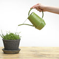 Blumengießkanne – Zink – 1Liter – Grün Everspring