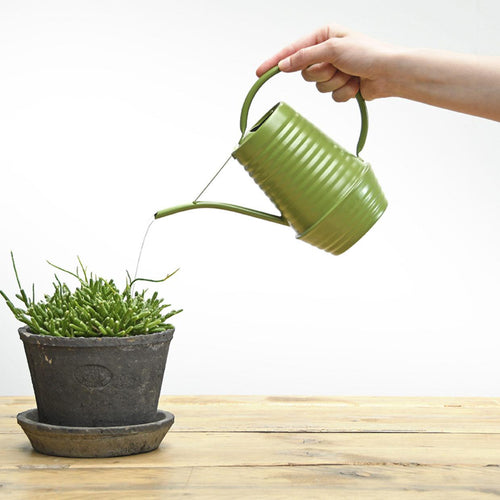 Blumengießkanne – Zink – 1Liter – Grün Everspring