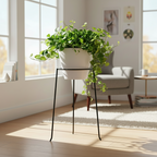 🪴 Blumentopf-Ständer Ø23cm Everspring