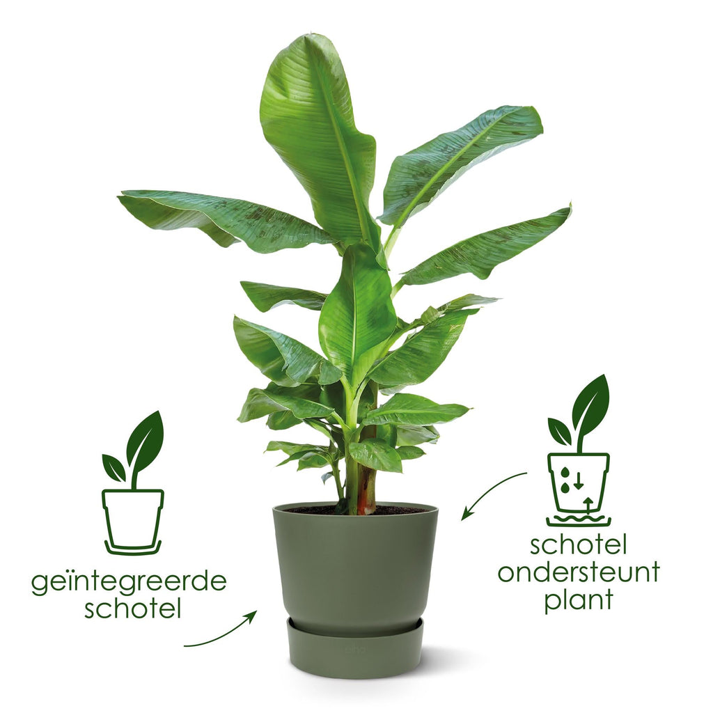 Topf Elho Greenville Round Schwarz - Ø18cm-↕17cm Everspring