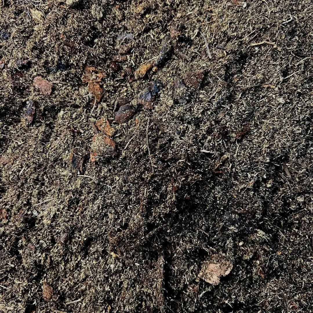 Culvita - Orchideenerde 5Liter - Blumenerde für Orchideen Everspring