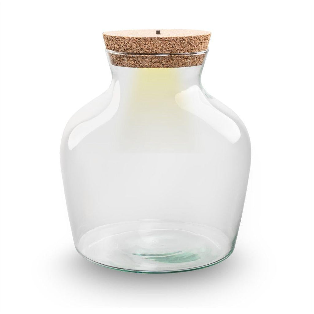 💡 Terrarium-Flasche mit Beleuchtung - Little Joe - Ø20cm-↕22cm Everspring