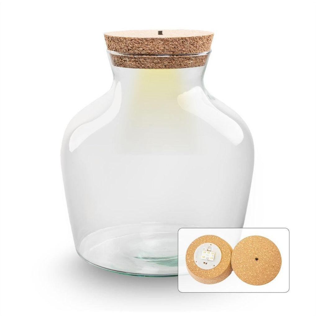 💡 Terrarium-Flasche mit Beleuchtung - Little Joe - Ø20cm-↕22cm Everspring