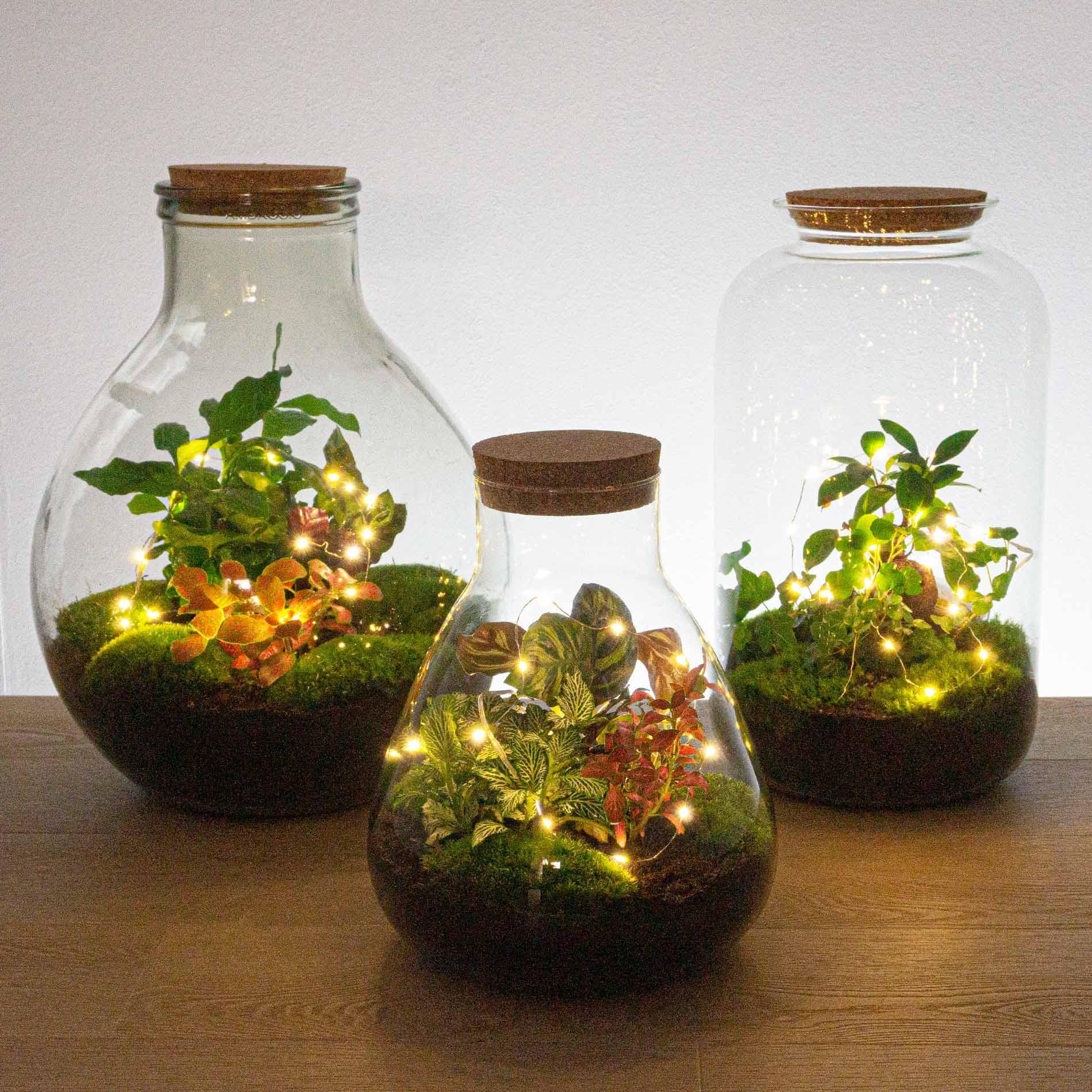 ✨ Drahtbeleuchtung – 1 m – 20 LEDs – Warmweiß – Batteriebetrieben – Weihnachten Everspring