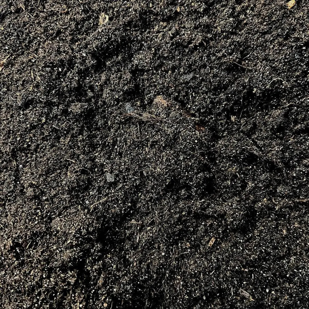 Culvita - Blumenerde für Kakteen und Sukkelenten - 5Liter Everspring