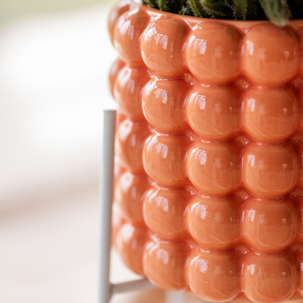 Kolibri Orchids – Poppy Orange Set