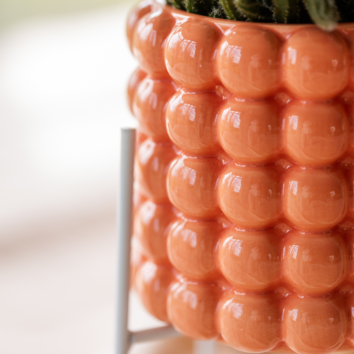 Kolibri Orchids – Poppy Orange Set