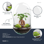 Flaschengarten - Egg XL Bonsai - ↕30cm Everspring