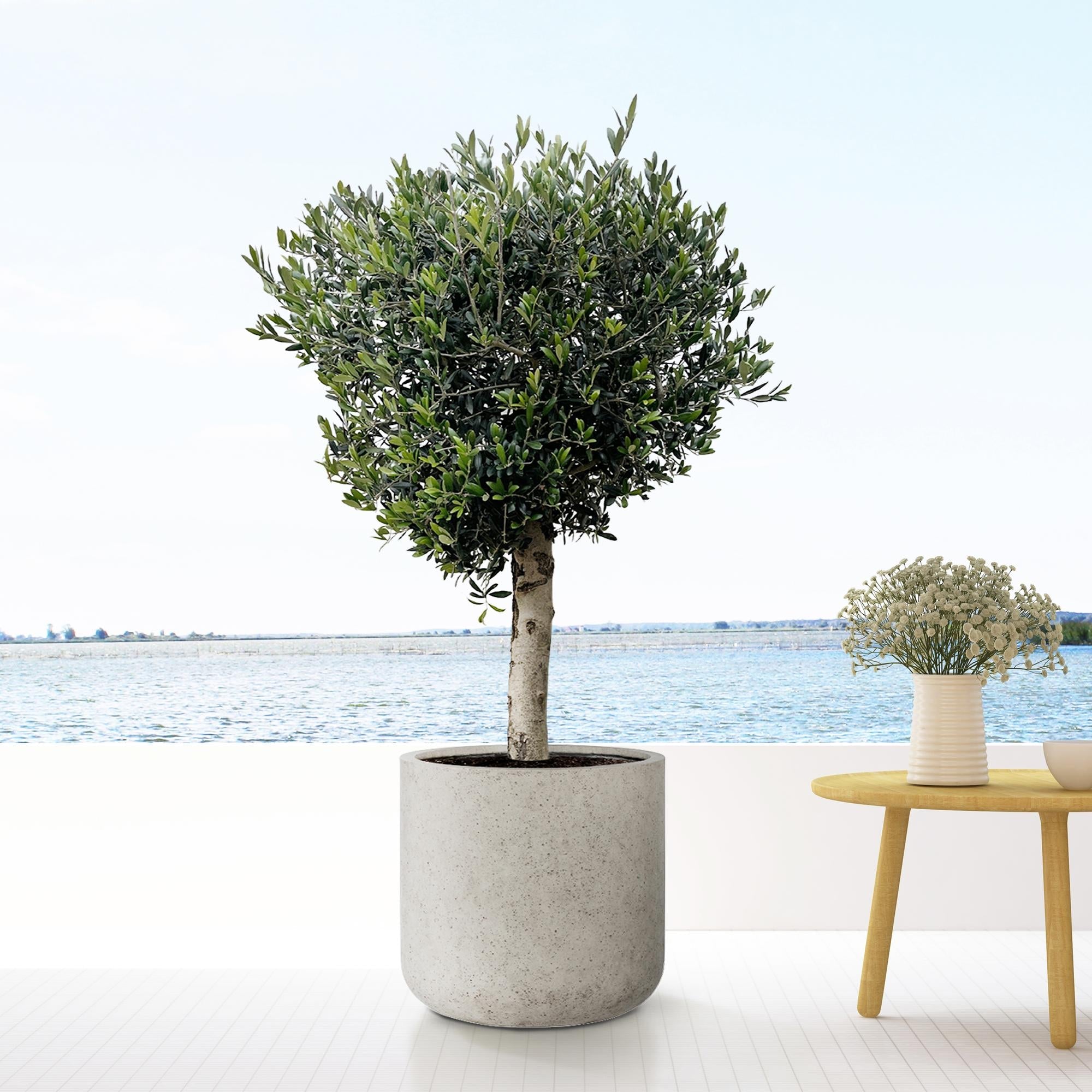 Jumbo Charlie Beige Washed - XS - Ø62cm-↕60cm Everspring