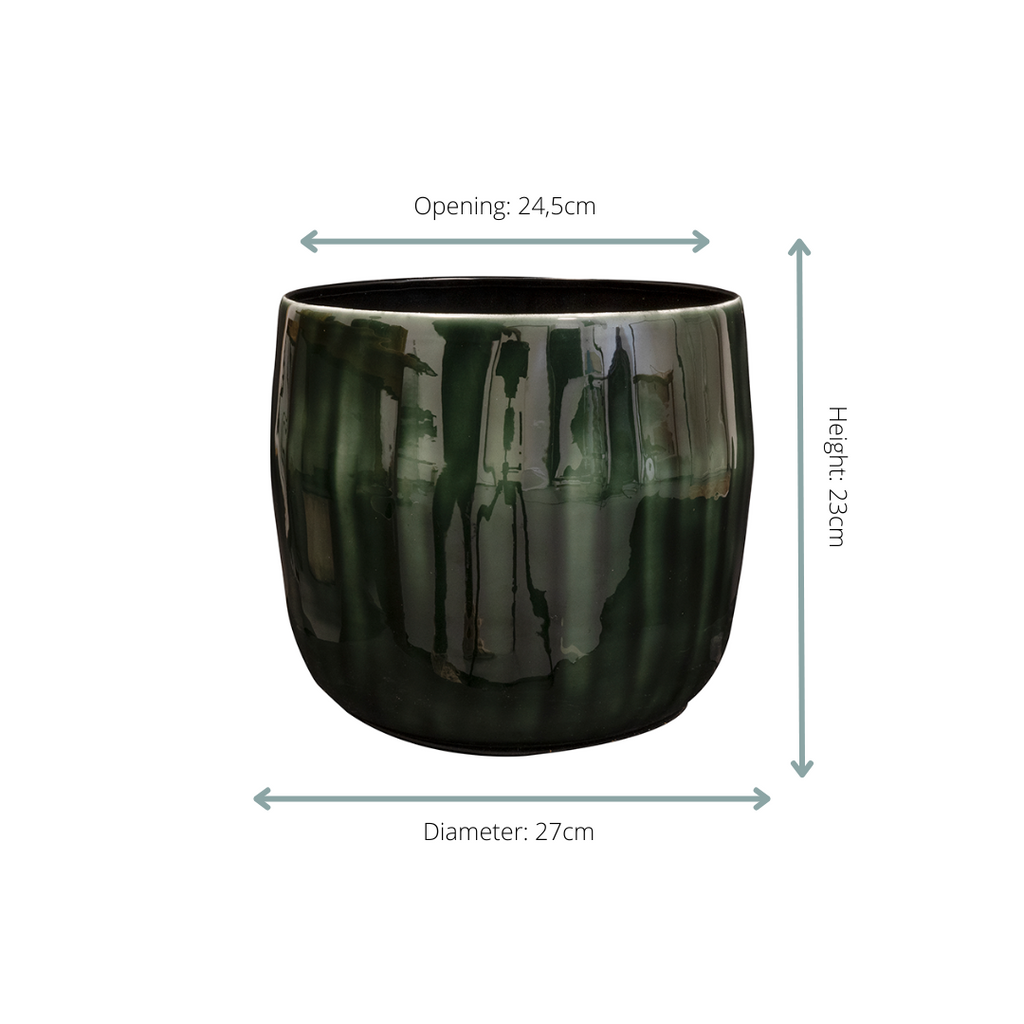 Topf Babet Pine - Ø27cm-↕23cm Everspring