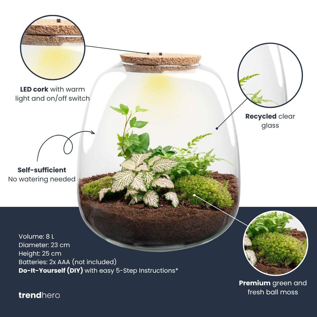 Pflanzen-Terrarium – Emma – DIY-Set – Ø23cm-↕25cm – Efeu Weiß Everspring