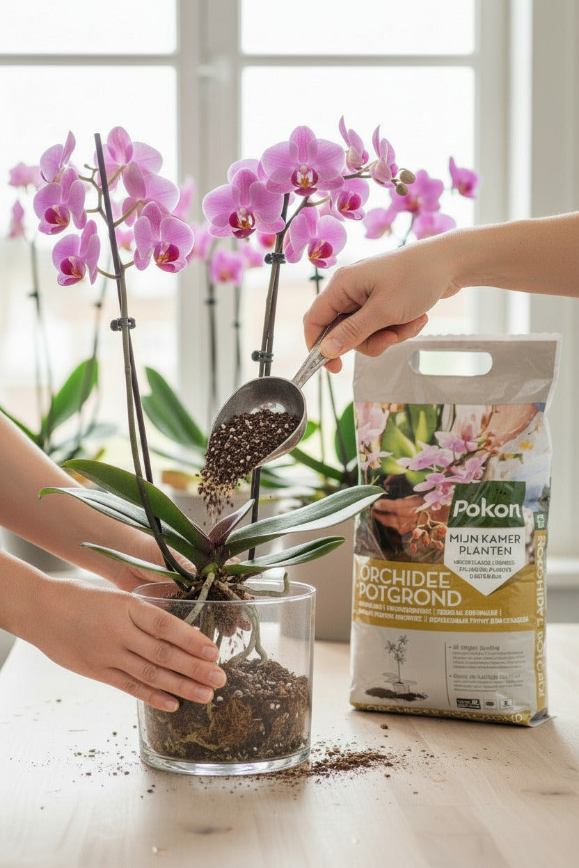 Orchideen Blumenerde - 5Liter Everspring