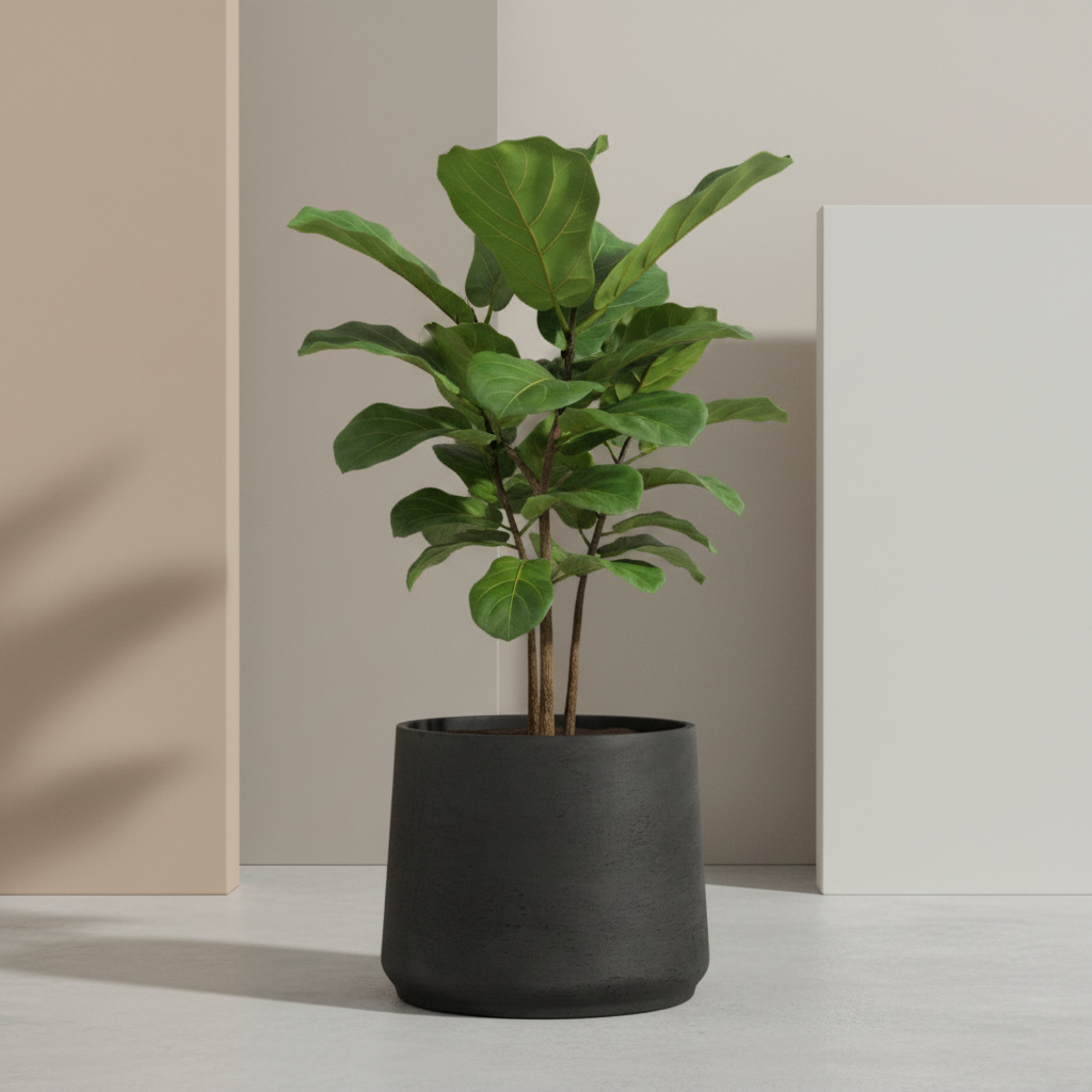 Jumbo Patt Schwarz Washed - Ø45cm-↕38cm Everspring